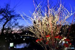 東山☆花灯路　４