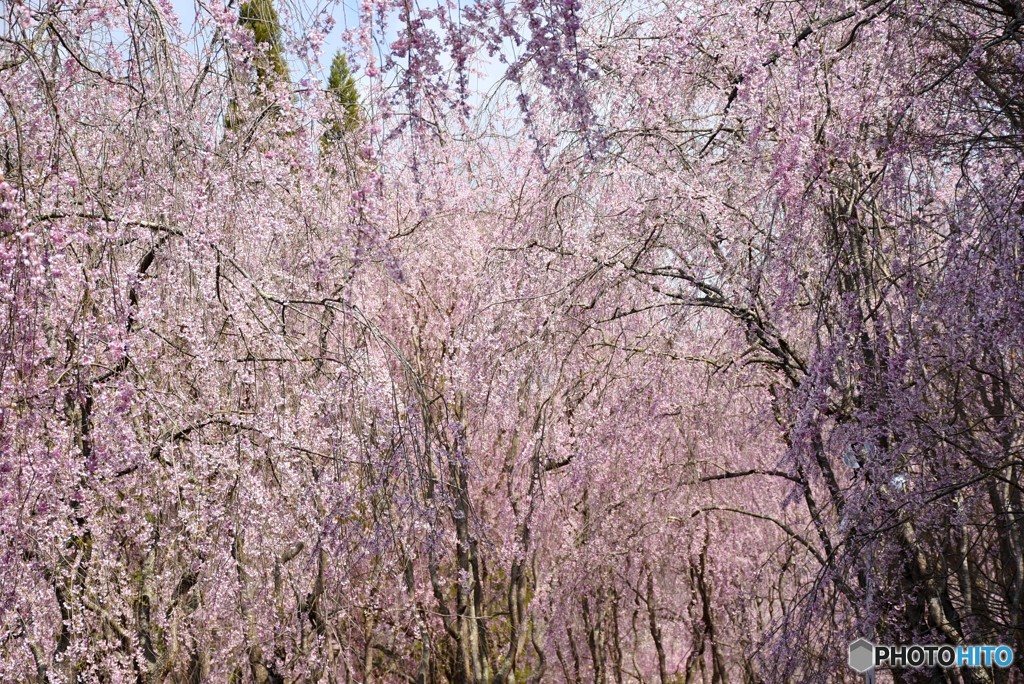 甲山ふれあいの里