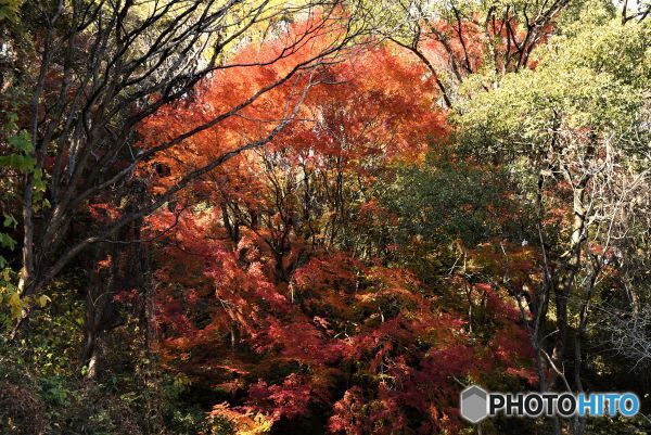 たけはら的場山