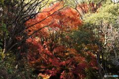 たけはら的場山