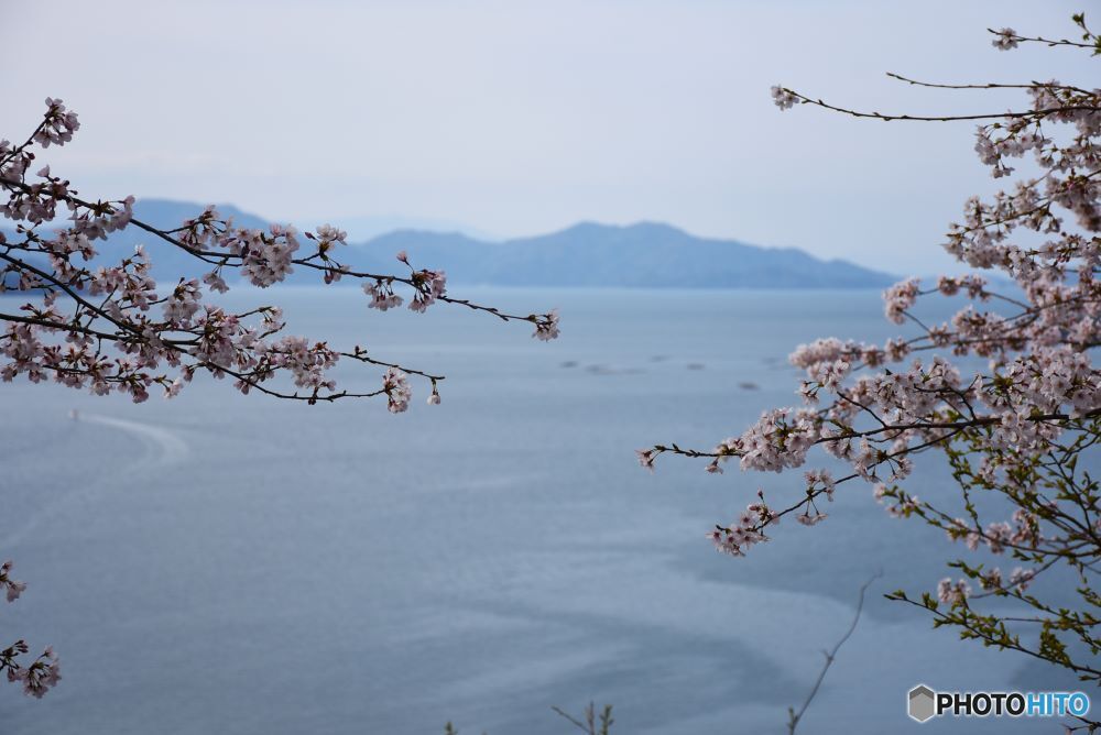 海が見える丘　３