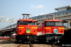 ＥＦ６７コンビ