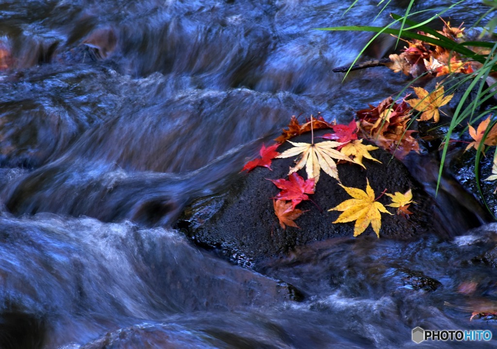 三景園の紅葉３