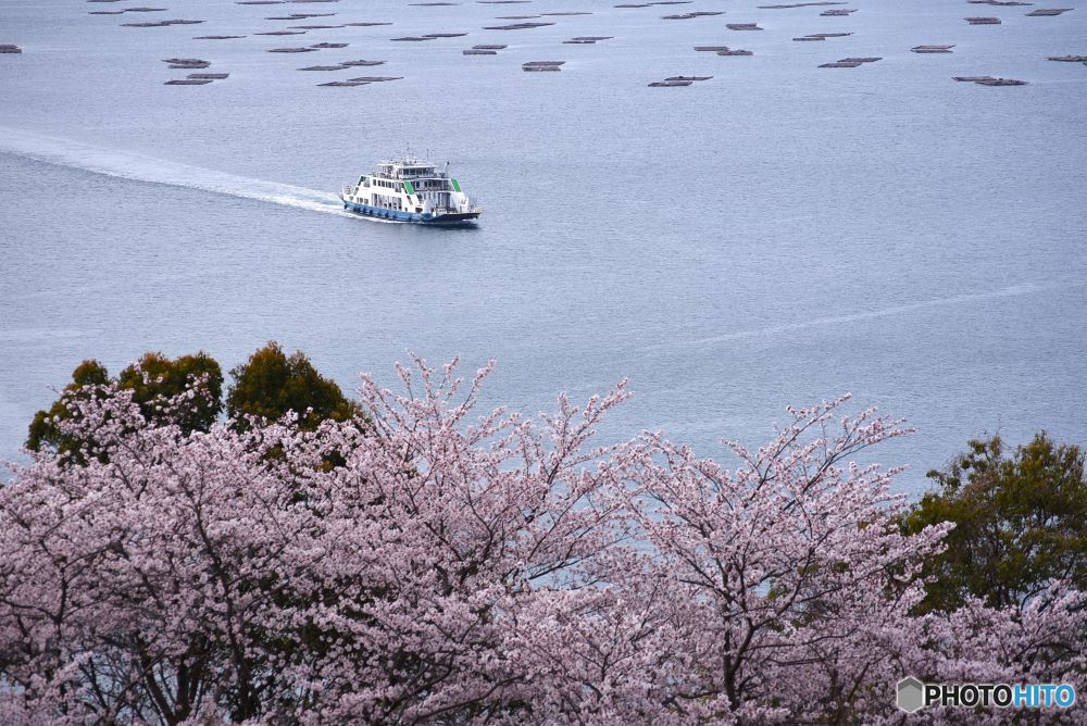 海が見える丘　７