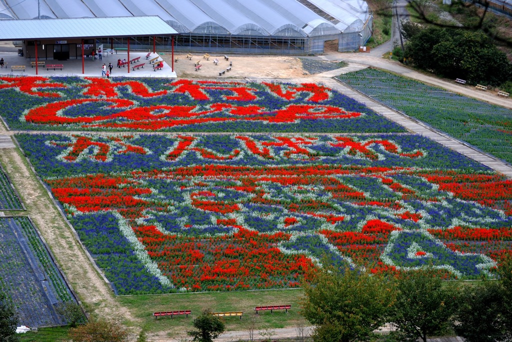 それ行け　Ｃａｒｐ