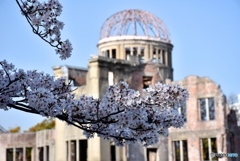 平和記念公園の桜　４