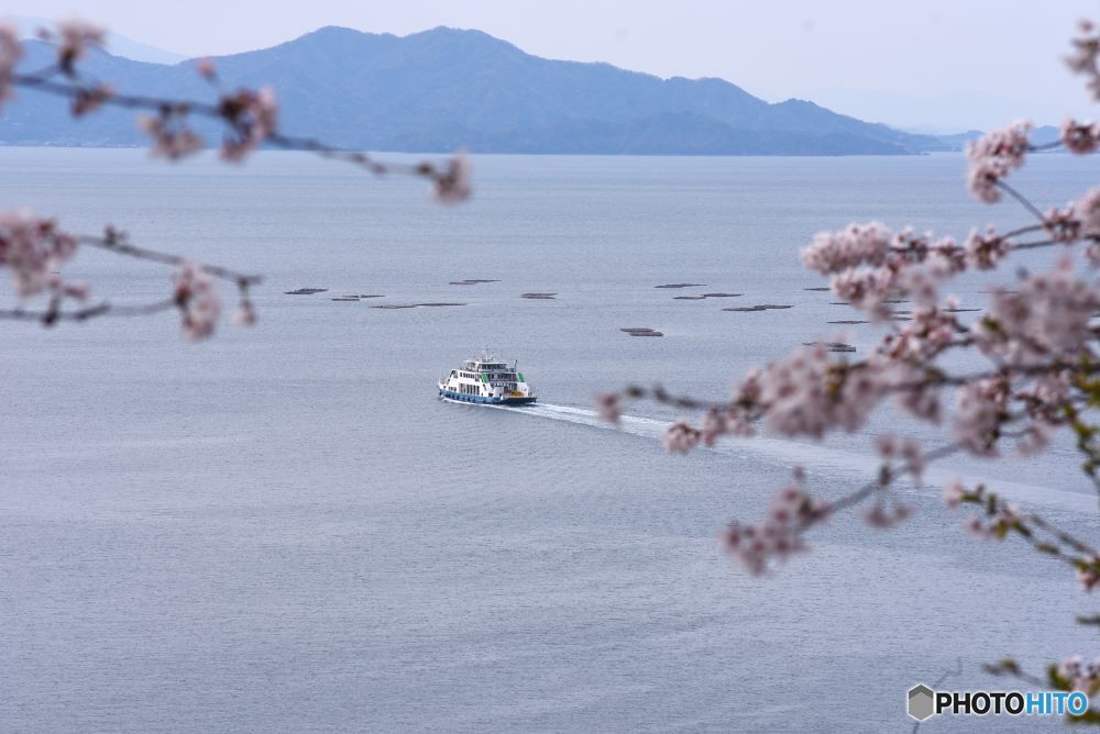 海が見える丘　10