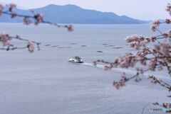 海が見える丘　10