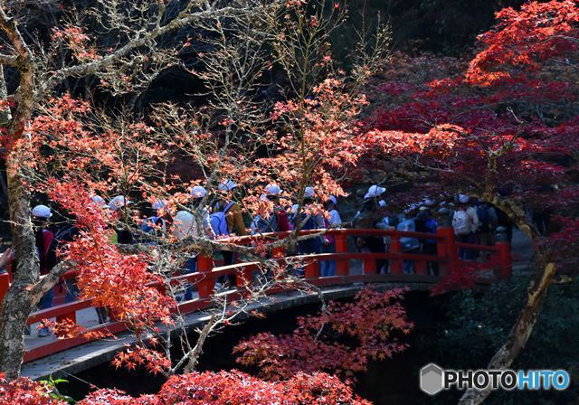 秋の宮島　１９