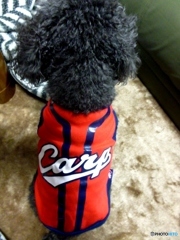 ジジは元気です！　１０