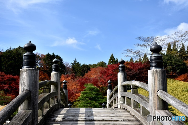 三景園の紅葉　２８