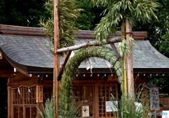 茅の輪くぐり　６