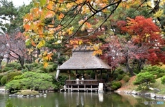 縮景園にて　４