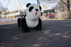 こっちみんな