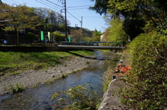 春の川