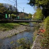 春の川