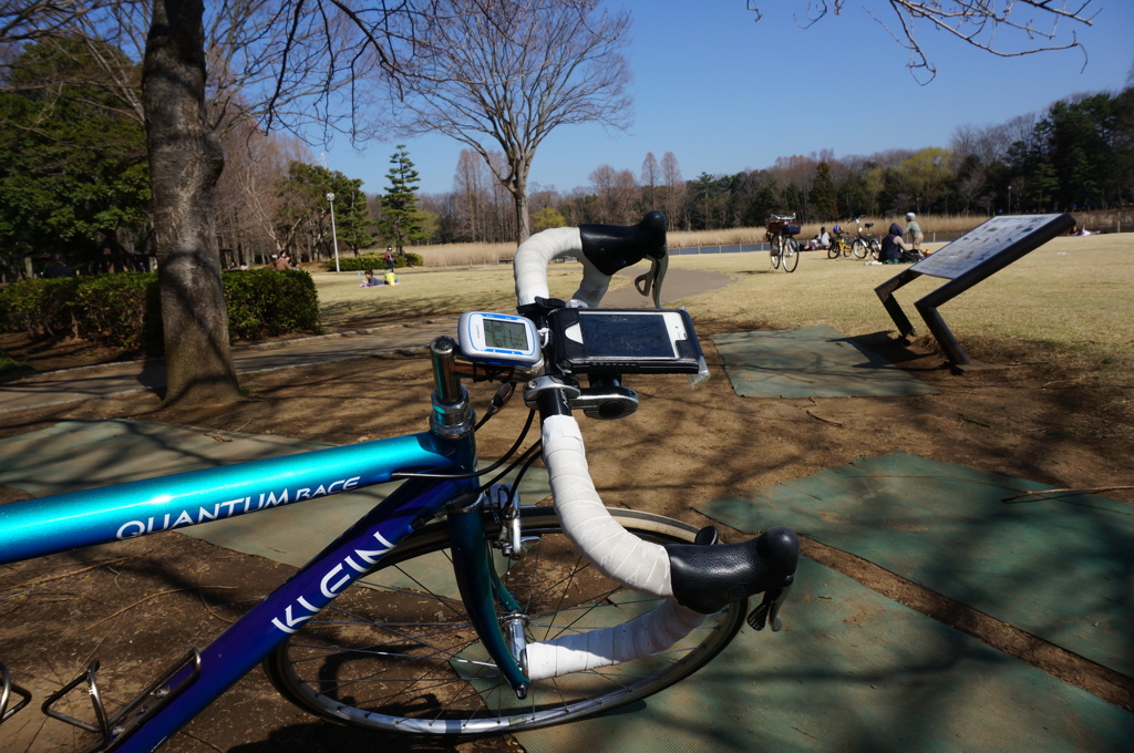 洞峰公園