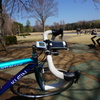洞峰公園