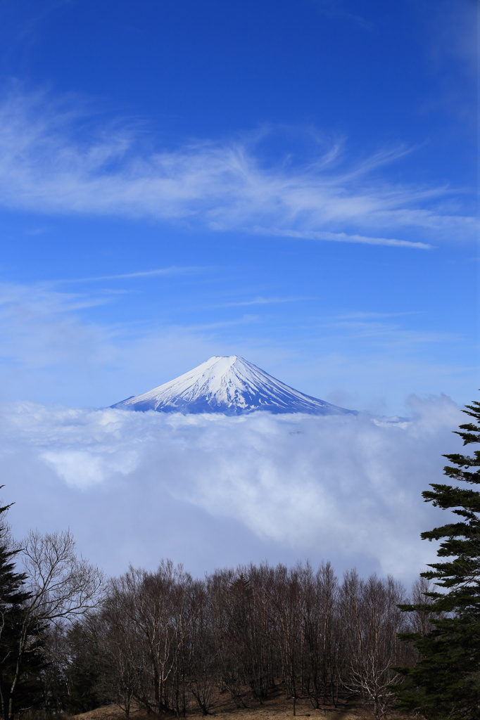 雁が腹摺山より