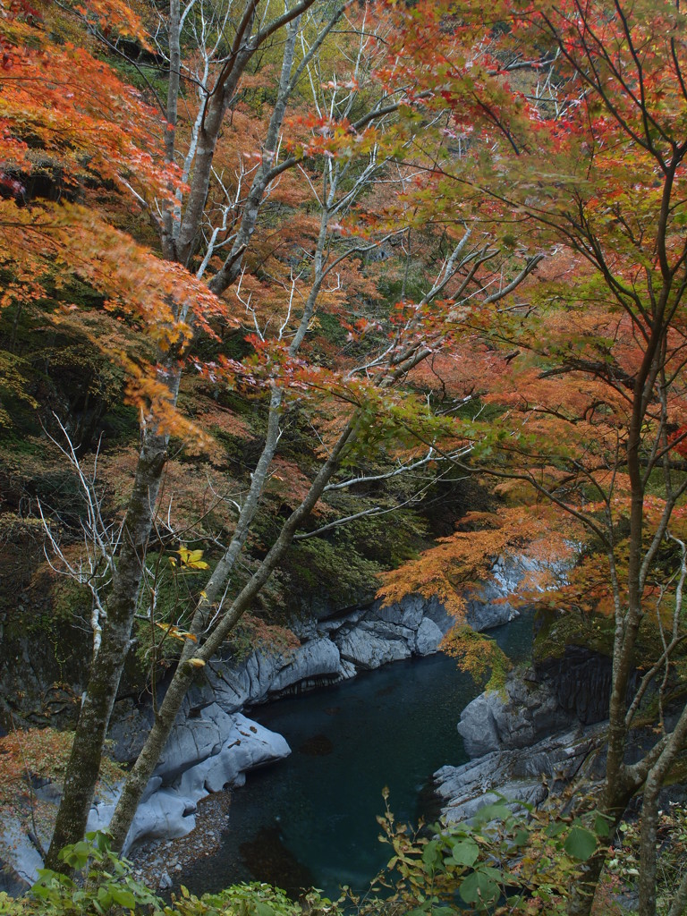 中津峡