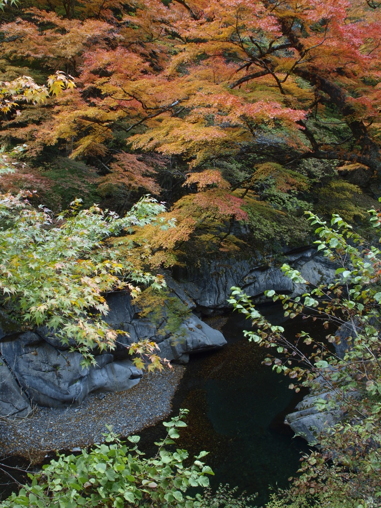 中津峡の秋