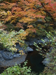 中津峡の秋