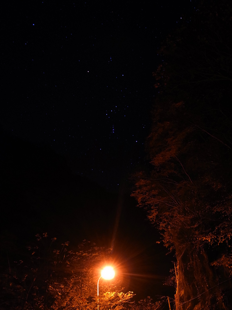 中津峡のオリオン
