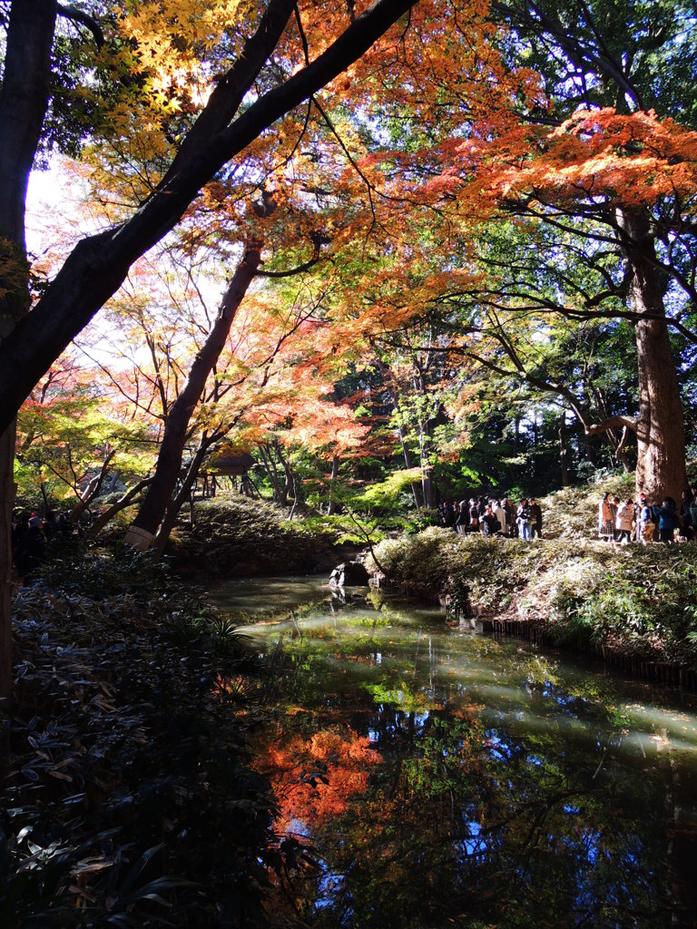 水辺の彩り