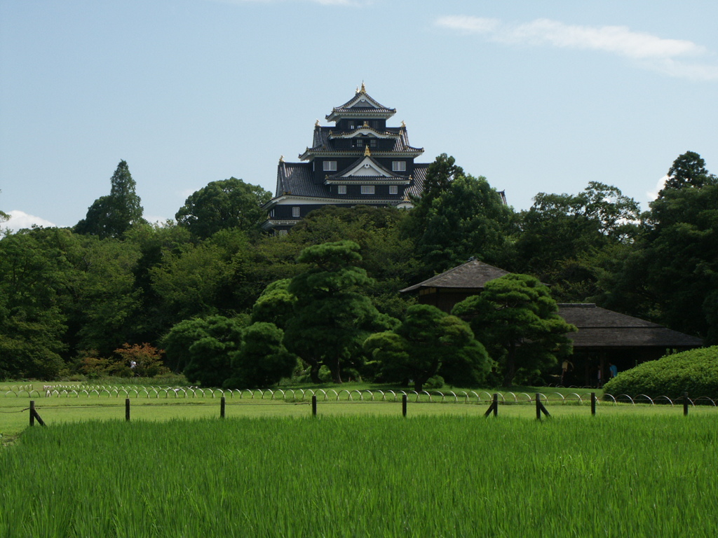 後楽園から望む岡山城