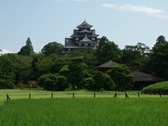 後楽園から望む岡山城
