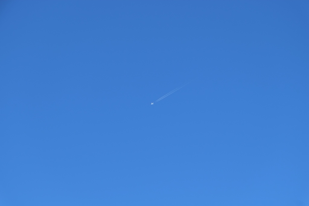 見上げれば　どこまでも青い空に