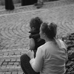 IMGP2588
