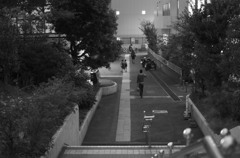 帰ろうよ