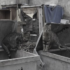 不良