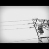 静