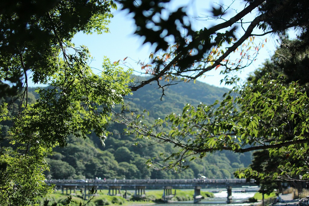 渡月橋2IMG_0477
