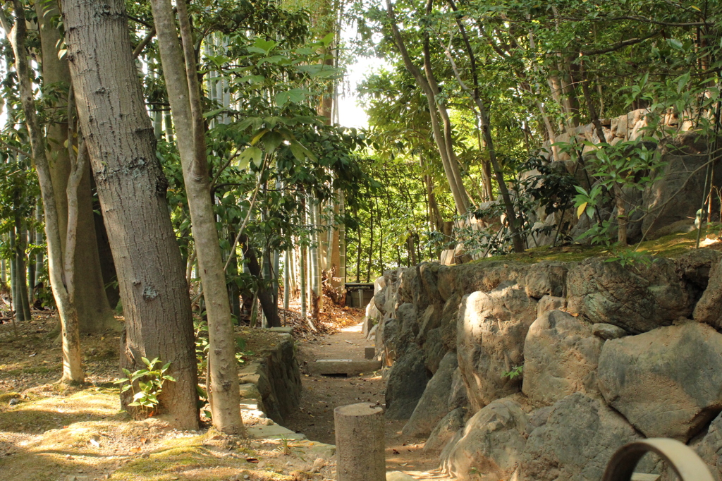 妙心寺　退蔵院庭園31IMG_0818