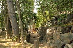 妙心寺　退蔵院庭園31IMG_0818