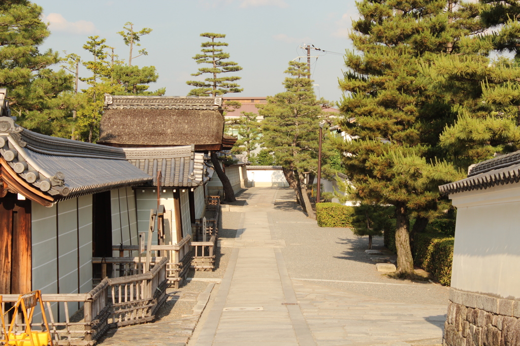 妙心寺10IMG_0827