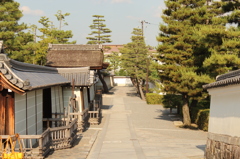 妙心寺10IMG_0827