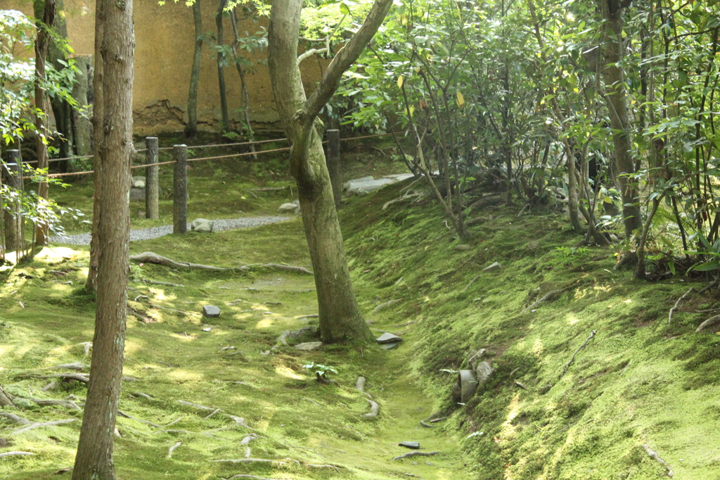 妙心寺　桂春院庭園19IMG_0888