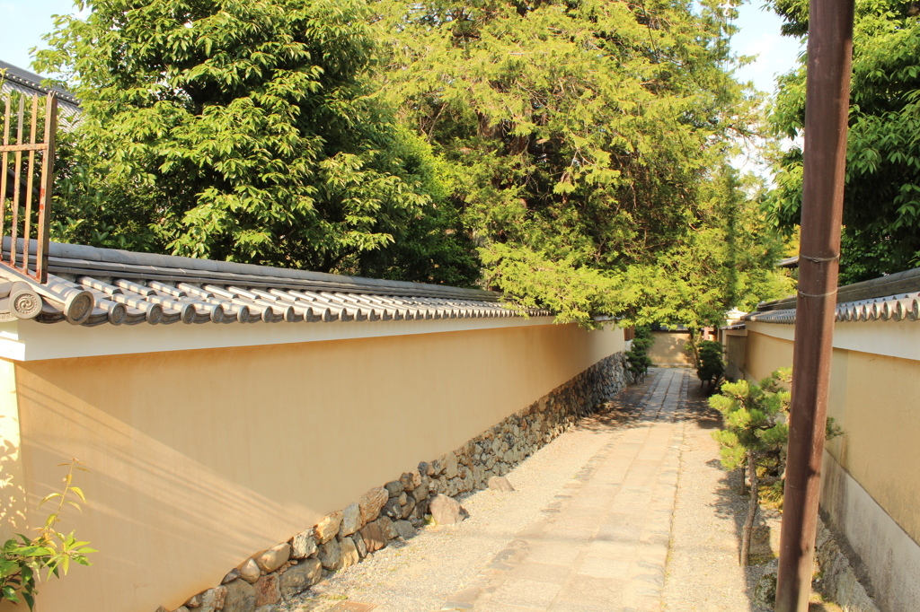 妙心寺21IMG_0839