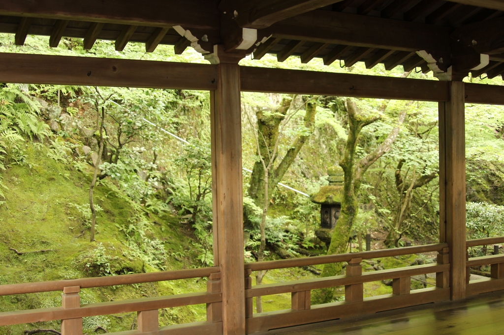 永観堂禅林寺　13　IMG_1068