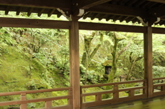 永観堂禅林寺　13　IMG_1068