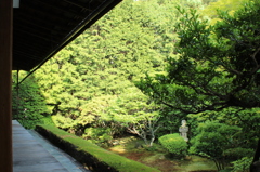妙心寺　桂春院庭園23IMG_0892