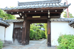 妙心寺　桂春院庭園28IMG_0900