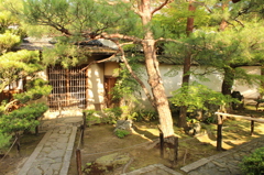 妙心寺　桂春院庭園1　IMG_0850