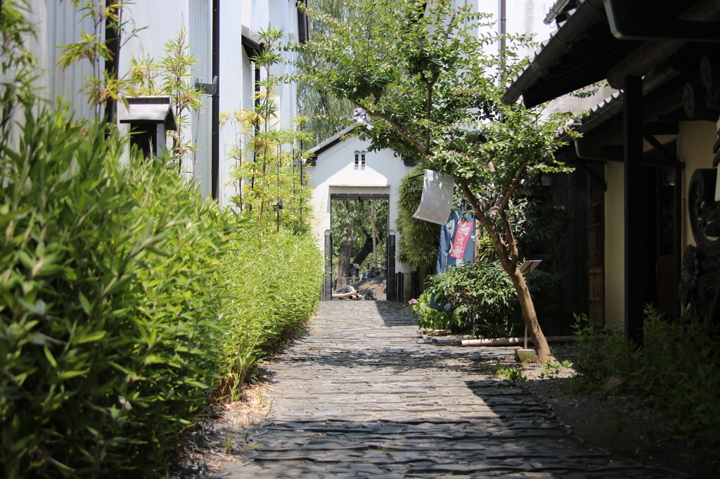 近江八幡1　IMG_1340