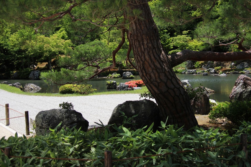 天竜寺庭園8IMG_0320