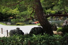 天竜寺庭園8IMG_0320